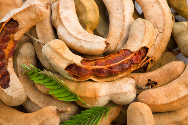 Whole Tamarind Pods